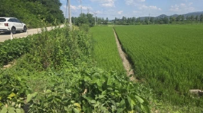 구미시 선산읍 죽장리 전 경매 물건 사진