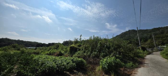김천시 봉산면 신암리 전 경매 물건 사진