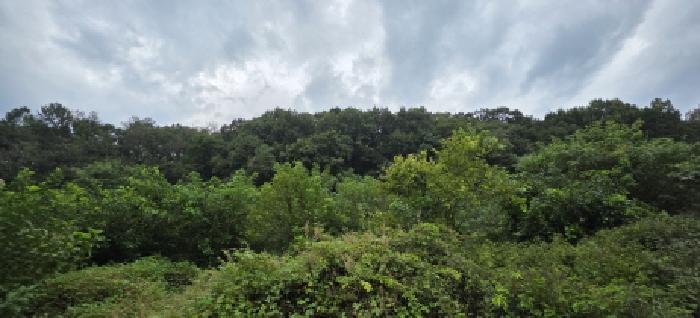김천시 봉산면 인의리 도로 경매 물건 사진