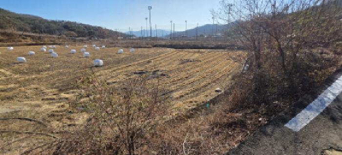 김천시 개령면 남전리 전답 경매 물건 사진