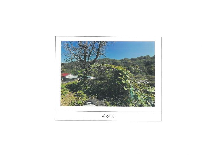 김천시 지례면 거물리 대지 경매 물건 사진