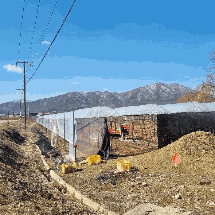 상주시 모동면 이동리 전 경매 물건 사진