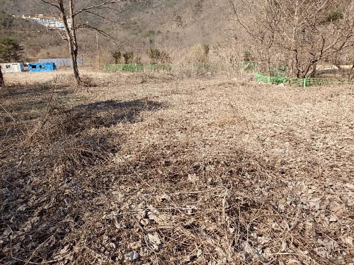 문경시 농암면 내서리 대지 경매 물건 사진
