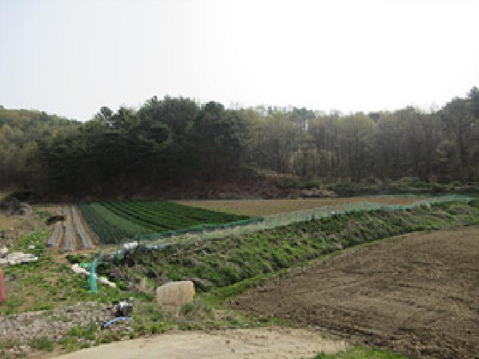 예천군 지보면 송평리 전 경매 물건 사진