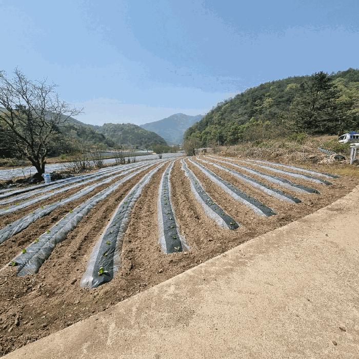 문경시 농암면 연천리 답 경매 물건 사진