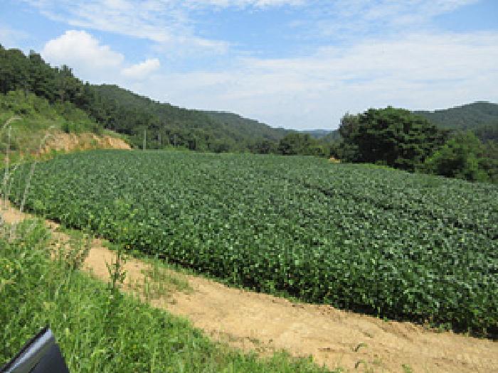 문경시 영순면 율곡리 전답 경매 물건 사진