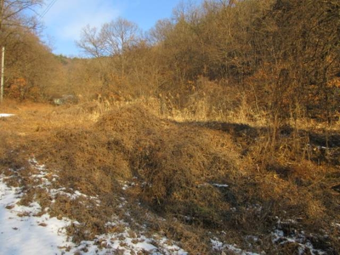 예천군 호명읍 원곡리 전 경매 물건 사진