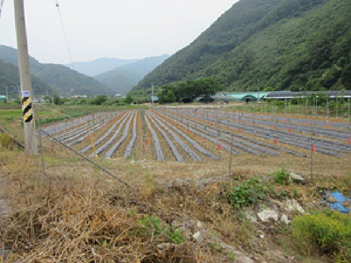 문경시 마성면 상내리 답 경매 물건 사진