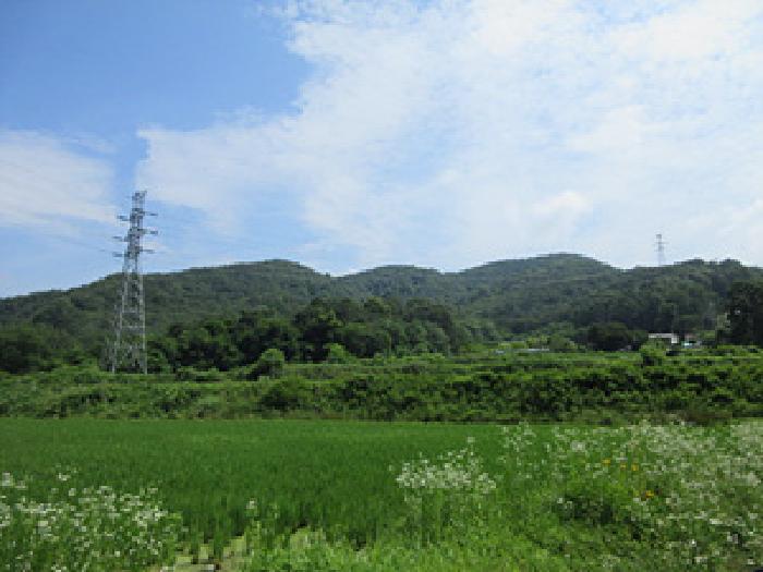 예천군 예천읍 생천리 임야 경매 물건 사진