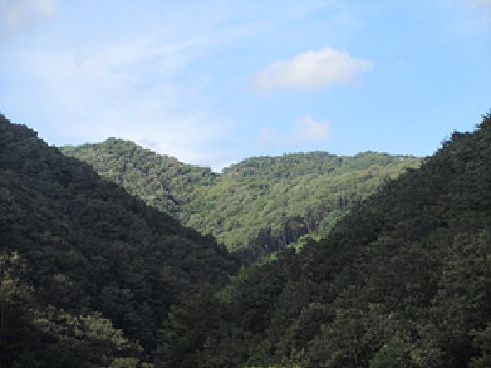 상주시 화북면 입석리 임야 경매 물건 사진