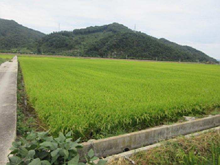 문경시 산북면 대상리 전답 경매 물건 사진