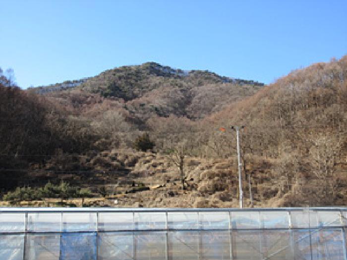 상주시 화서면 금산리 전답 경매 물건 사진