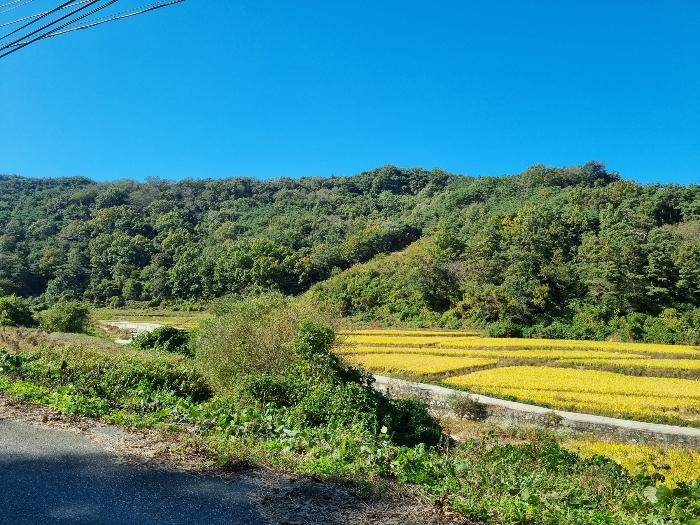 군위군 소보면 보현리 임야 경매 물건 사진