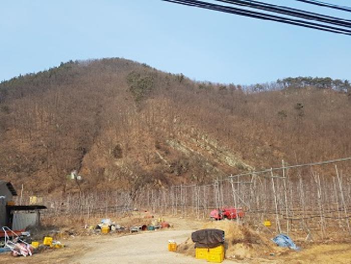 청송군 파천면 옹점리 임야 경매 물건 사진