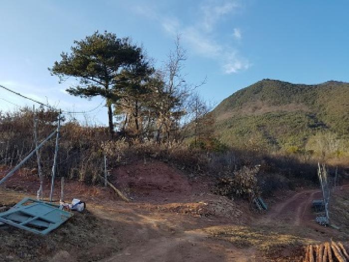청송군 청송읍 부곡리 전답 경매 물건 사진