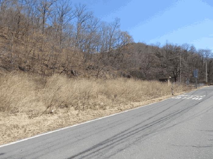 의성군 사곡면 작승리 대지 경매 물건 사진