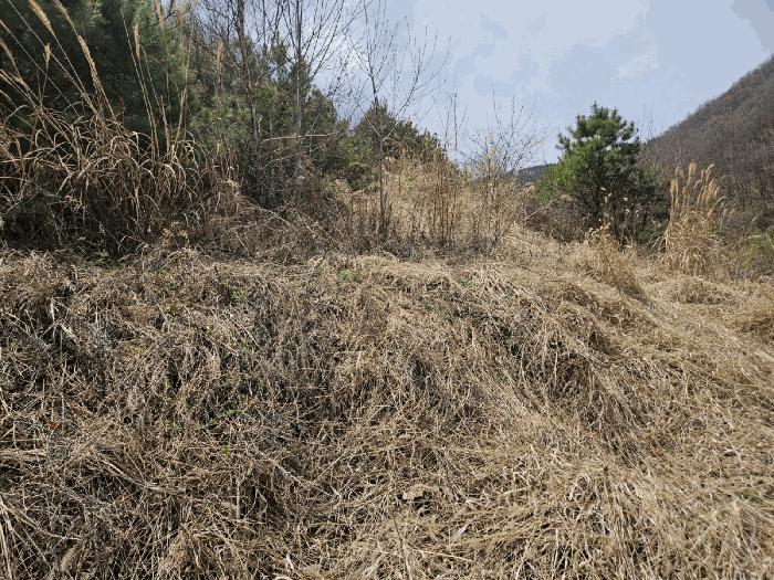의성군 옥산면 오류리 전 경매 물건 사진