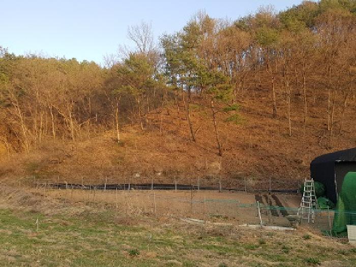 의성군 봉양면 풍리리 전 경매 물건 사진