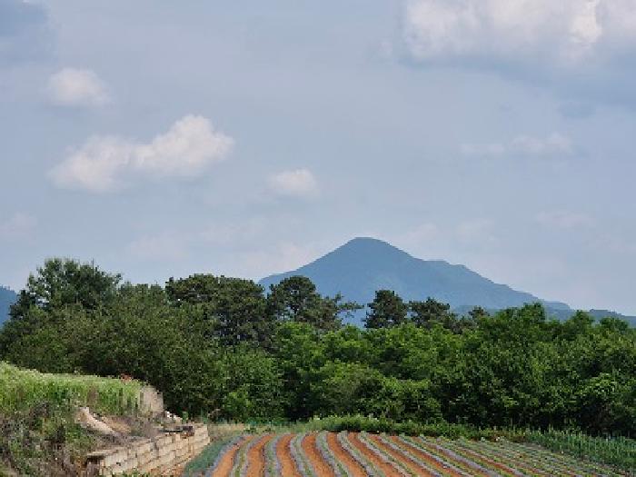 의성군 가음면 장리 전 경매 물건 사진