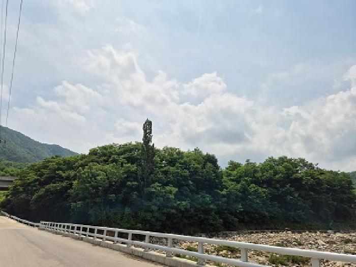 군위군 부계면 대율리 답 경매 물건 사진