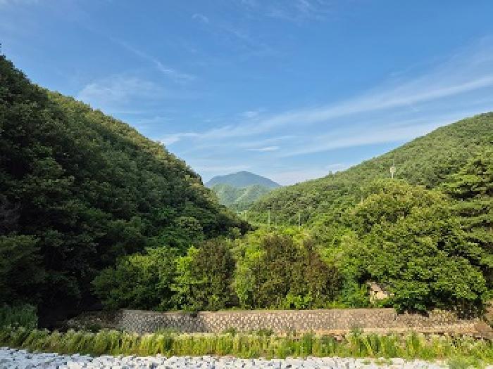 청송군 현동면 개일리 대지,임야,전답 경매 물건 사진