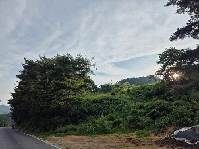 청송군 주왕산면 부일리 전 경매 물건 사진