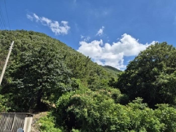 의성군 옥산면 전흥리 임야 경매 물건 사진