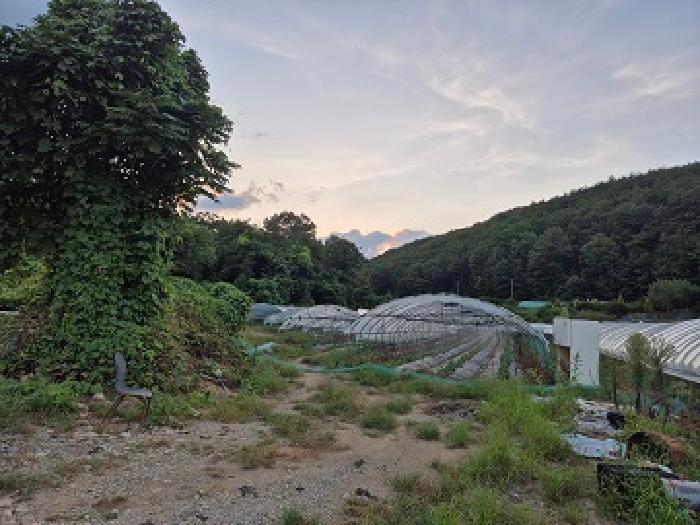 군위군 효령면 마시리 답 경매 물건 사진