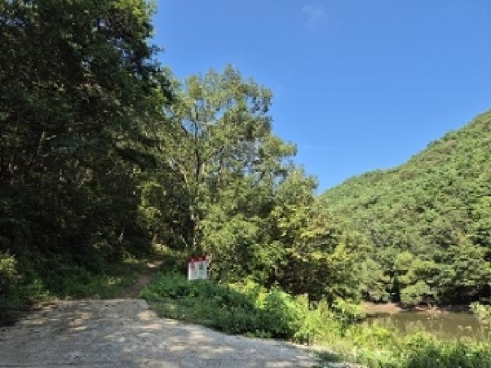 의성군 안사면 신수리 임야 경매 물건 사진