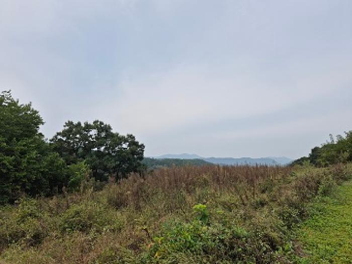 군위군 부계면 창평리 전답 경매 물건 사진