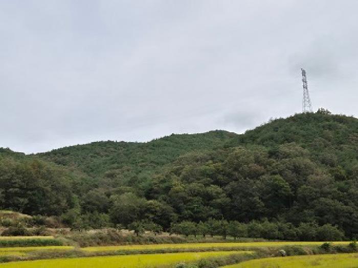 군위군 소보면 도산리 전답 경매 물건 사진