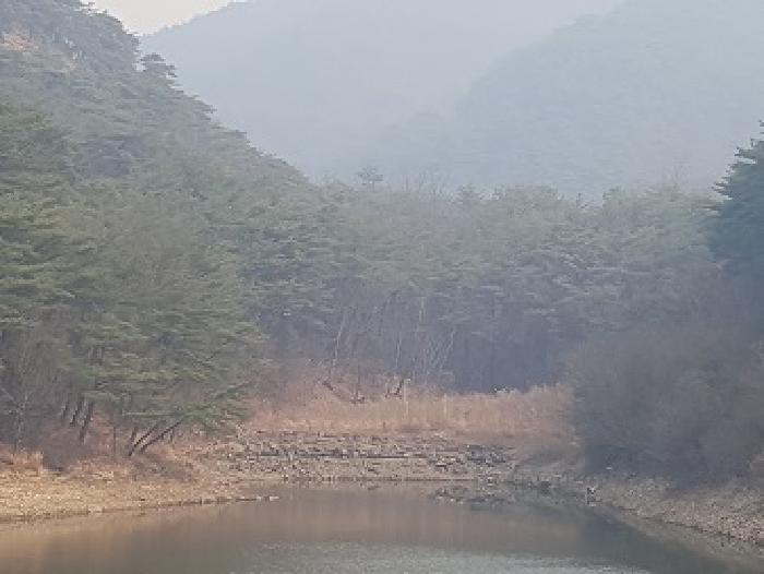 의성군 점곡면 사촌리 답 경매 물건 사진