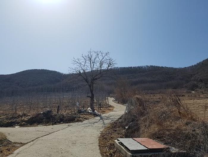 청송군 부남면 대전리 임야 경매 물건 사진