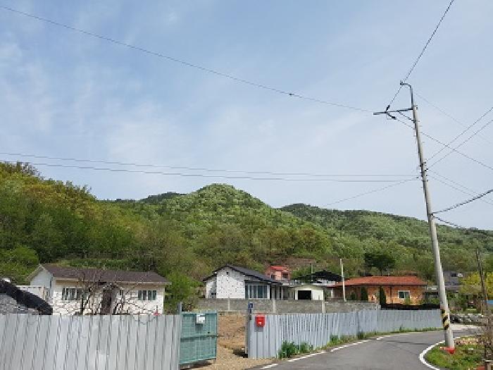 군위군 군위읍 금구리 임야 경매 물건 사진