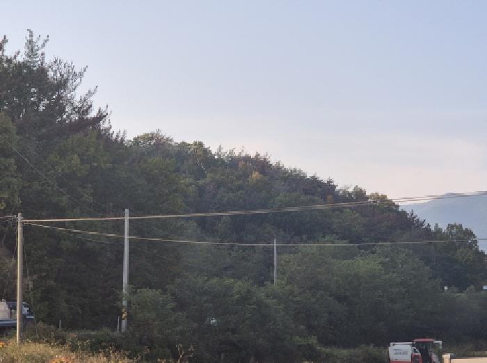 영덕군 병곡면 거무역리 임야 경매 물건 사진