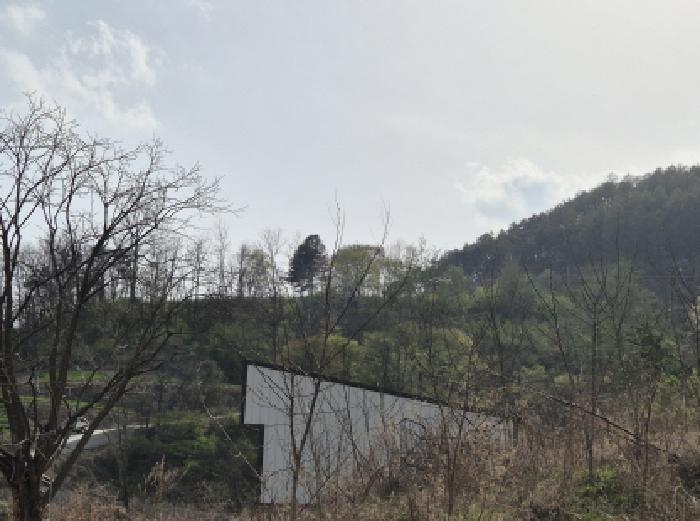 영양군 영양읍 동부리 대지,임야,전답 경매 물건 사진