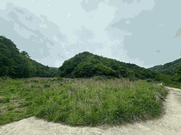 영양군 청기면 토곡리 전 경매 물건 사진