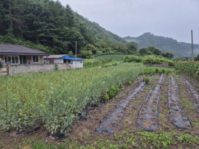 영양군 수비면 본신리 전답 경매 물건 사진