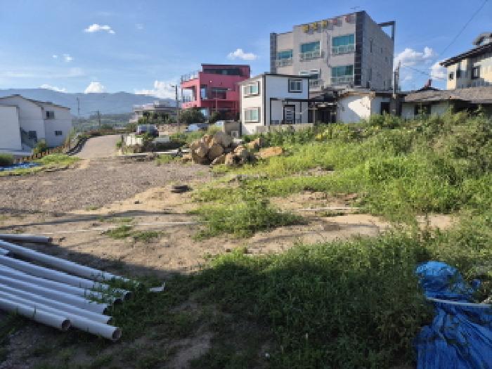 영덕군 병곡면 병곡리 대지 경매 물건 사진