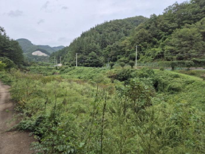 영덕군 남정면 사암리 과수원 경매 물건 사진