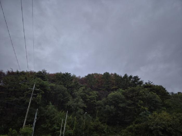 영덕군 영덕읍 오보리 임야 경매 물건 사진