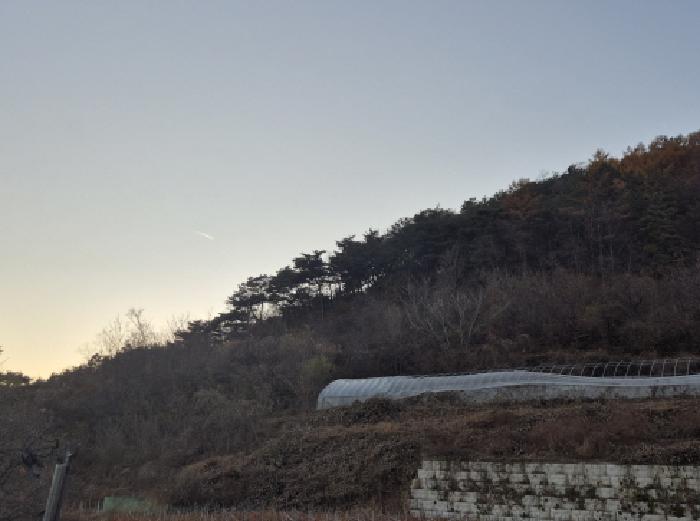 영양군 영양읍 동부리 전답 경매 물건 사진