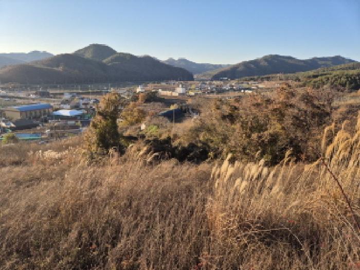 영양군 입암면 신구리 전답 경매 물건 사진