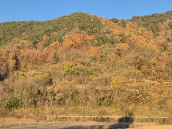 울진군 온정면 외선미리 전답 경매 물건 사진