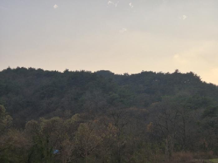 울진군 기성면 삼산리 임야 경매 물건 사진