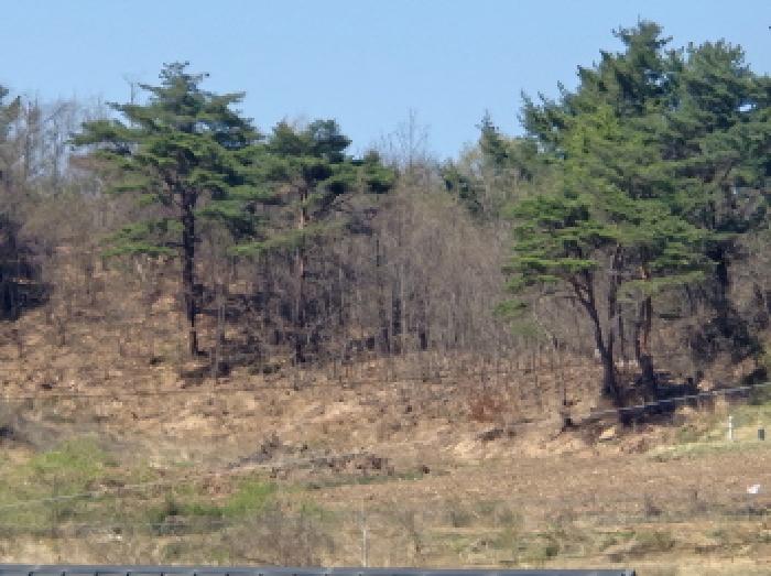 영덕군 축산면 도곡리 전 경매 물건 사진