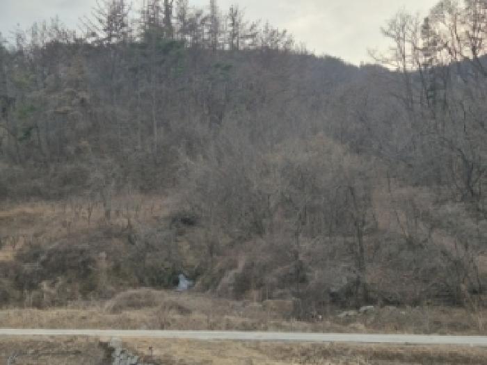 영덕군 병곡면 이천리 전답 경매 물건 사진