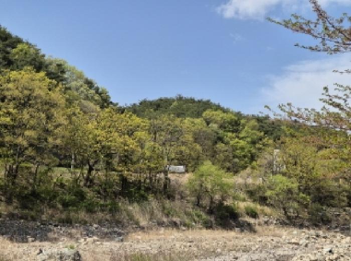 포항시 남구 오천읍 임야 경매 물건 사진