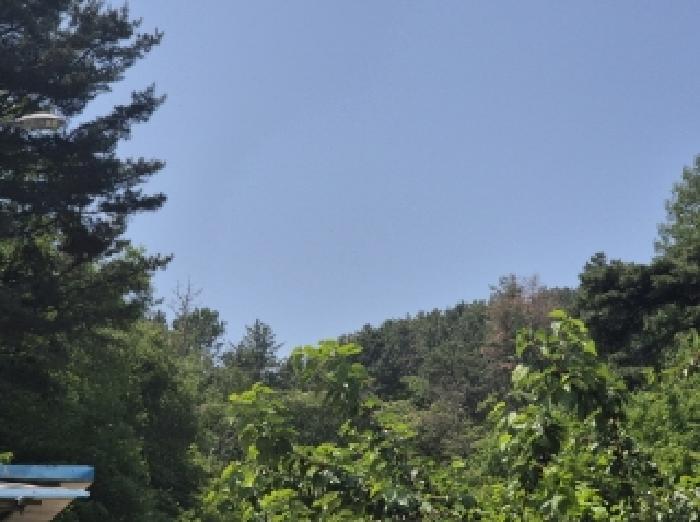 포항시 북구 용흥동 임야 경매 물건 사진