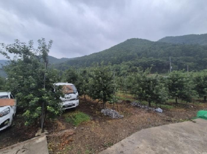 포항시 북구 죽장면 전 경매 물건 사진